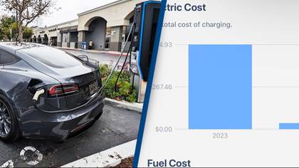Tesla driver shares how much six months of electric cost and how much money it's saved him on fuel