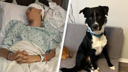Hero puppy saves teen's life as he was having a stroke that would have left him 'nonfunctional'