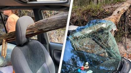 Teens lucky to be alive after branch smashed through car in freak accident