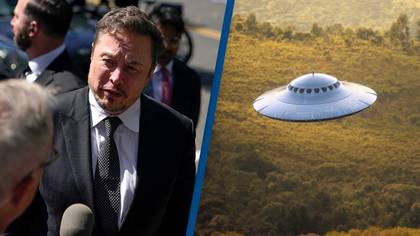 Elon Musk says he has found no sign of aliens in the universe so far