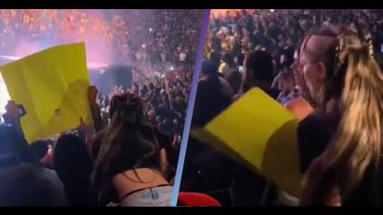 Woman rips down fan's sign at Drake concert after it was blocking her view from $700 seat