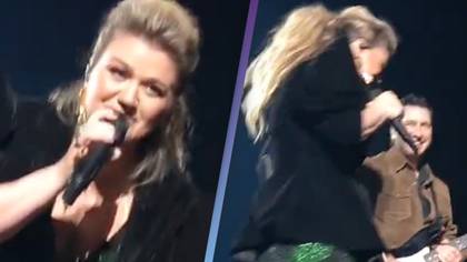 Kelly Clarkson tells female fan 'I like d***s' after she held up sign saying girlfriend gave her hall pass