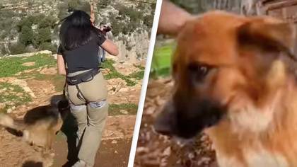 Woman criticized for 'animal abuse' after 'incredibly irresponsible' stunt off cliff risked dog's life