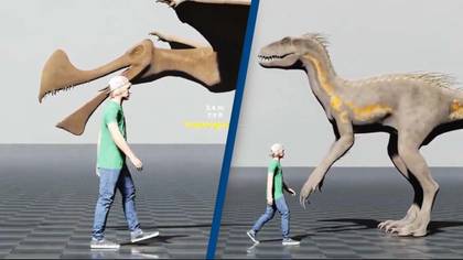 Simulation showing real size comparison of humans and dinosaurs has people shocked they even existed