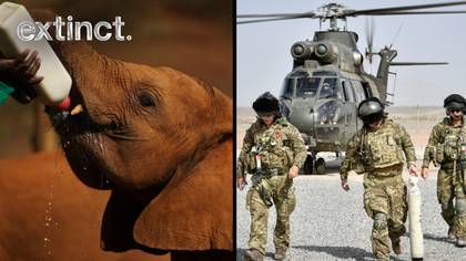 ​UK Soldiers Will Be Sent To Africa To Help End Animal Poaching