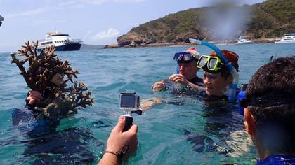 Pauline Hanson Challenges Scientist About The Health Of The Great Barrier Reef