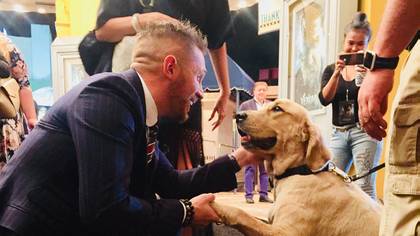 Tom Hardy Became Besties With The Security Dog At The Venom Premiere
