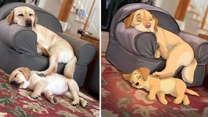 This Artist Will Transform Your Pet Into A Disney Character