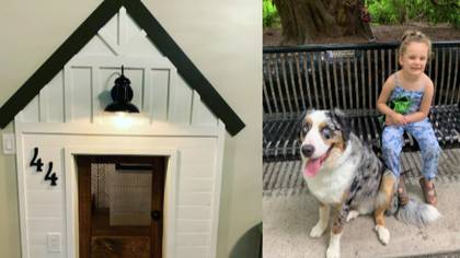 Woman Builds Miniature Replica Of Her Own Home For Her Dog