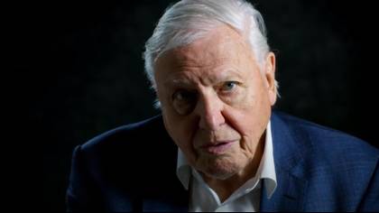 Netflix's 'David Attenborough: A Life On Our Planet' Is Coming