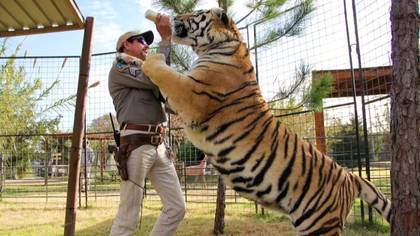 New 'Tiger King' TV Series Announced With Nicolas Cage As Joe Exotic