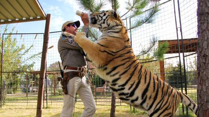 ​For The 'Tiger King' Superfan, This Podcast Is Going To Complete You