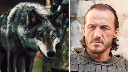 Game Of Thrones' Jerome Flynn Is Urging Fans To Stop Buying Huskies