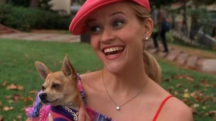 EXCLUSIVE: 'Legally Blonde 3' Release Date Finally Confirmed As Reese Witherspoon Returns