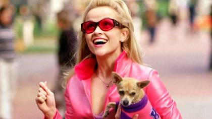 Is There A Legally Blonde 3 Movie? Release Date, Cast, Trailer And Recap