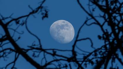 ​Rare 'Blue' Moon Will Light Up The Sky On Halloween
