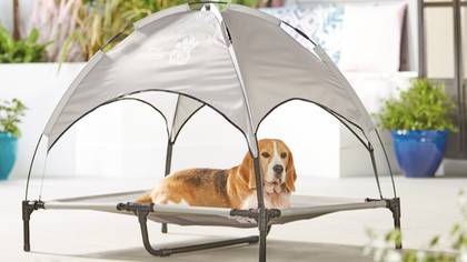 Aldi Is Selling Tiny 'Sunshade' Loungers For Dogs