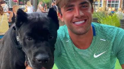 Love Island's Jack Fincham Responds To Backlash After Adopting Rescue Dog With Cropped Ears