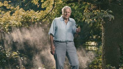 David Attenborough's New BBC Doc 'Extinction: The Facts' Drops On Sunday