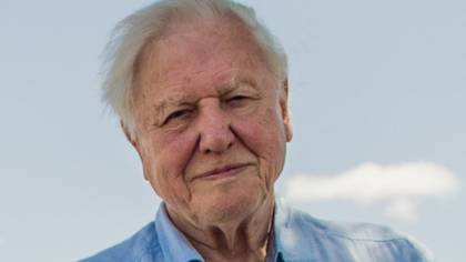 PSA: Sir David Attenborough Has Officially Joined Instagram