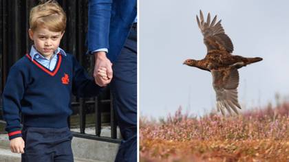 Twitter Isn't Happy That Prince George Was Reportedly Taken Grouse Shooting