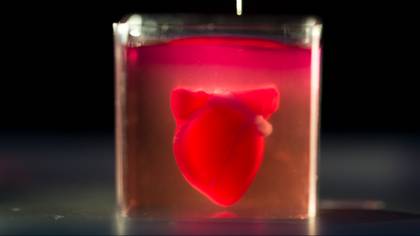 Scientists Print First 3D Heart Using Human Tissue & It’s Amazing