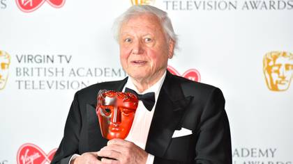 Here's How David Attenborough Has Shaped The World We Live In Today