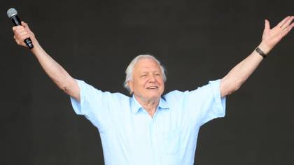 Sir David Attenborough Is Being Honoured With A Lifetime Achievement Award And About Time