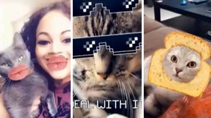 Snapchat Now Has Filters Especially For Your Pets