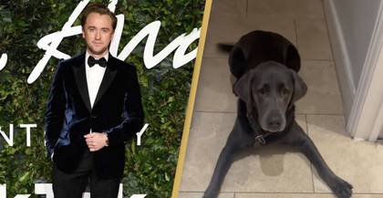 Tom Felton Shares Adorably Hilarious Video Of Dog Willow
