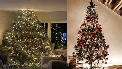 People Are Losing It At This Family's Oversized Christmas Tree