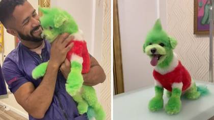 Dog Groomer Divides Opinion After Giving Pup A 'Grinch Makeover'