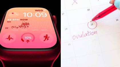 New Apple watch can tell you when you're ovulating and help 'spot' health conditions