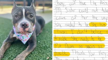 Sick dog found abandoned outside shelter with note saying to 'put down as soon as possible'