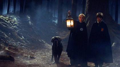 Harry Potter Forbidden Forest Experience Is Coming To UK