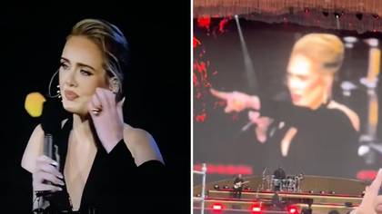 Adele Praised For Stopping Concert When Crowd Needed Help