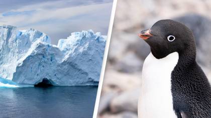 Temperature Jumps 40C Above Average In Antarctica