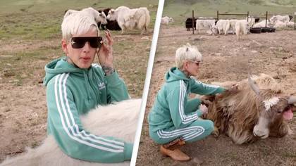 YouTuber Jeffree Star Defends Slaughtering Yaks In New Video