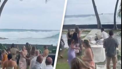 Giant Wave Absolutely Ruins Wedding Reception In Hawaii