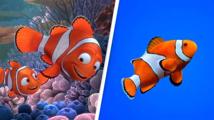 People Horrified By Scientifically Accurate Version Of Finding Nemo
