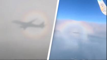 Plane surrounded by 'halo' in rare phenomenon known as 'pilot's glory'