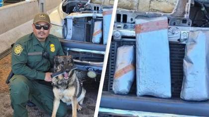 Border Control K9 Finds Enough Fentanyl To Kill 2.7 Million People