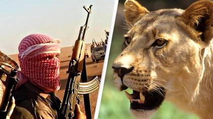 ISIS jihadists mauled to death and eaten by lions after retreating from battle