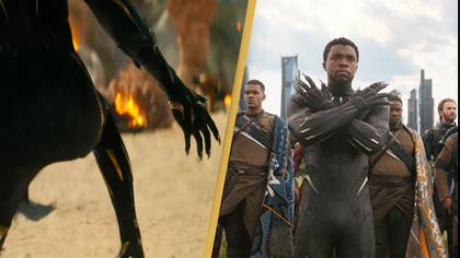 Black Panther Fans Think They Know Who's In The Suit For Wakanda Forever