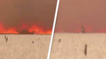 Man Escapes Burning Tractor In Terrifying Footage As Wildfires Continue To Spread Across Europe