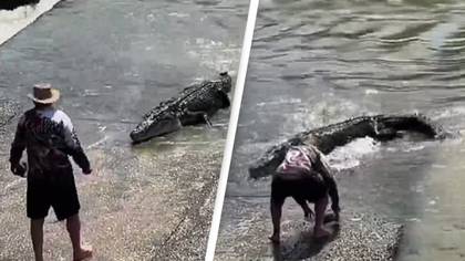 Fisherman Risks His Life To Save His Son's Hat From Giant Crocodile