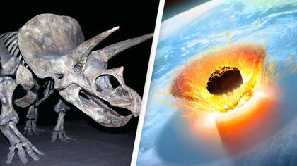 Scientists reveal groundbreaking discovery on meteor that killed the dinosaurs