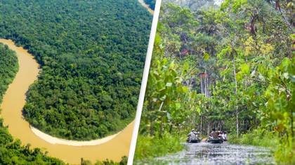 Expert Explains Why There Are No Bridges Across The Amazon River