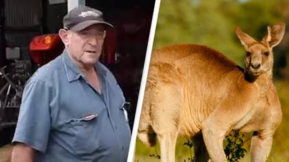 Kangaroo who killed man stood over body and stopped paramedics from trying to save him