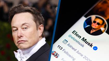 Elon Musk Shuts Down $44 Billion Twitter Deal